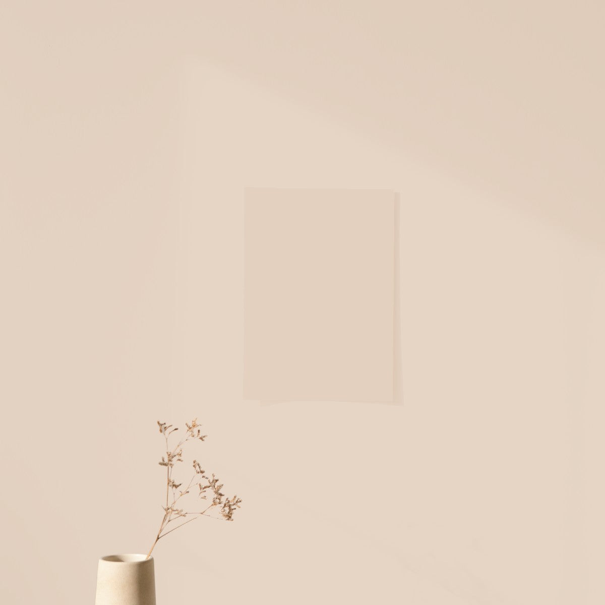 Beige Nude Color Chart Sample
