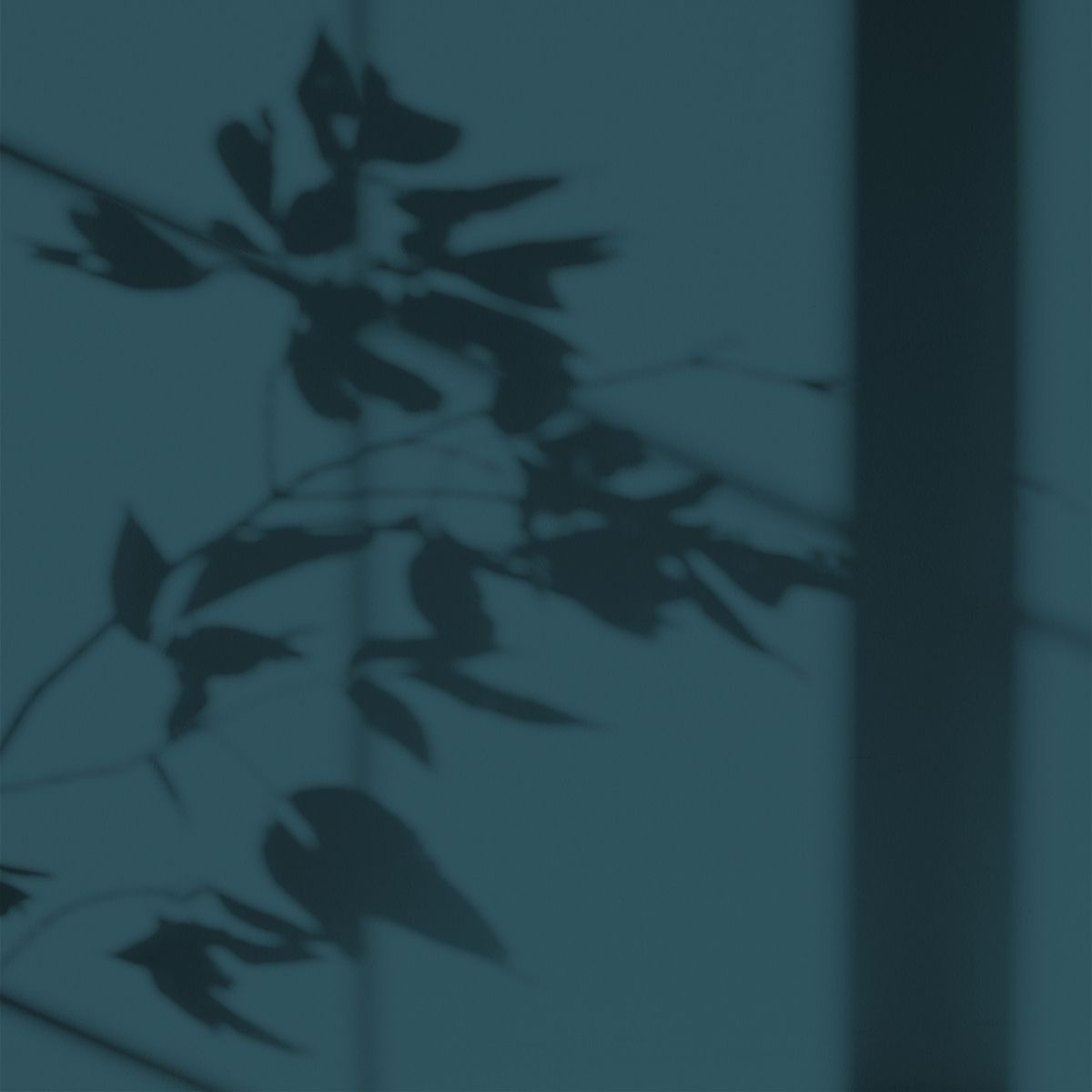 Algo Eco-Friendly Paint - Belle Île Blue