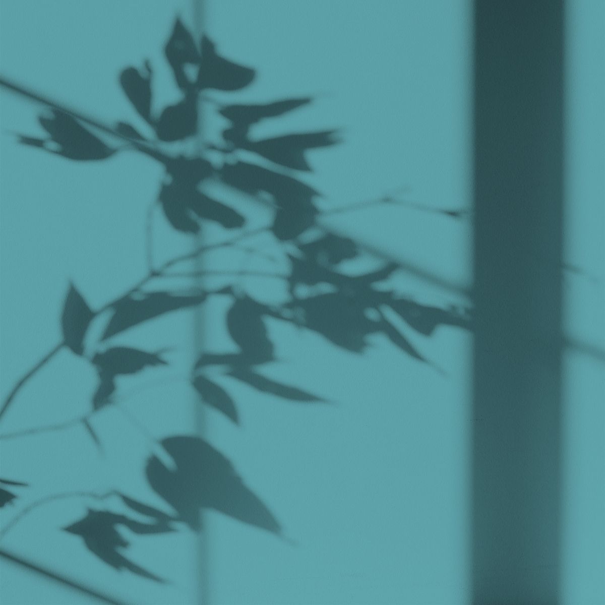 Algo Eco-Friendly Paint - Marie-Galante Blue