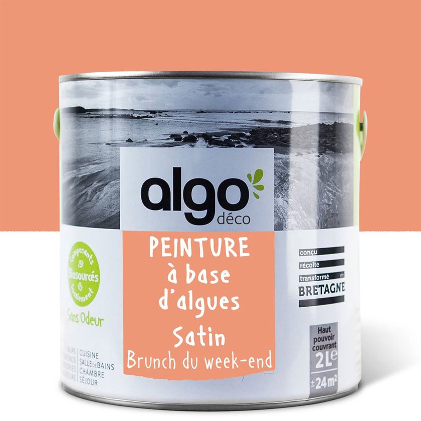 Peinture écologique Algo - Orange Brunch du week-end