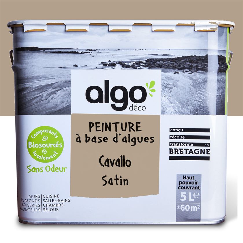 Algo Eco-Friendly Paint - Cavallo Brown