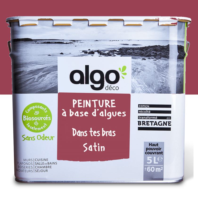 Algo Eco-Friendly Paint - Purple In Your Arms