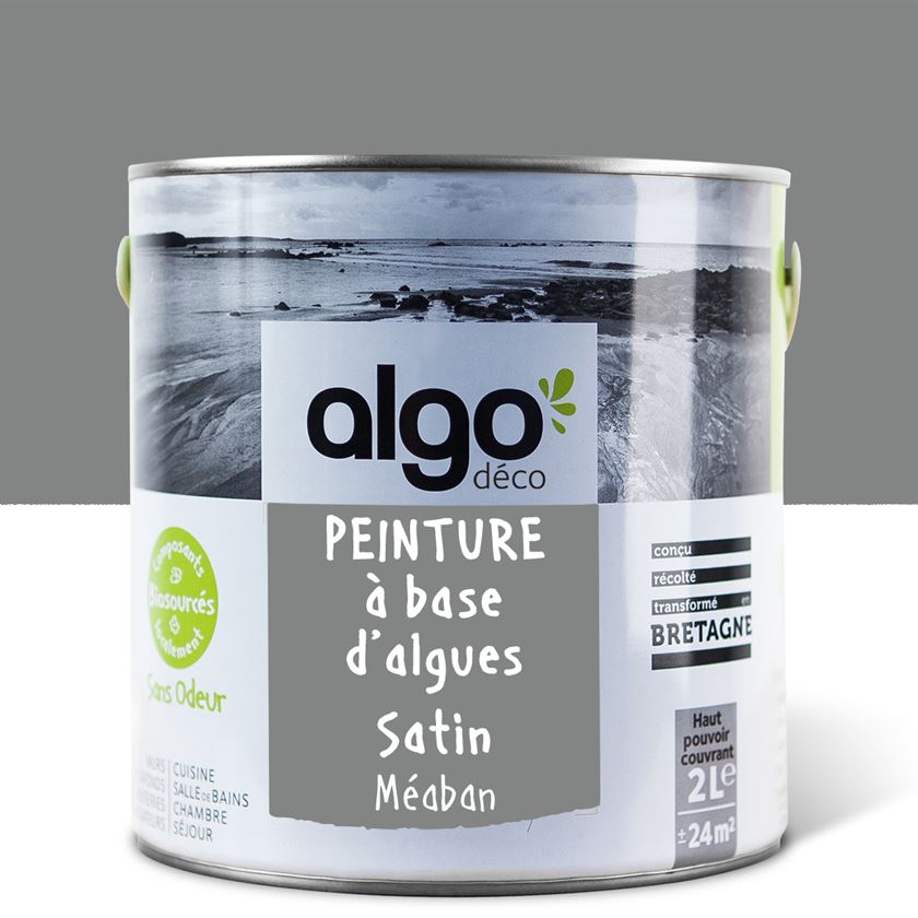 Algo ecological paint - Méaban Grey