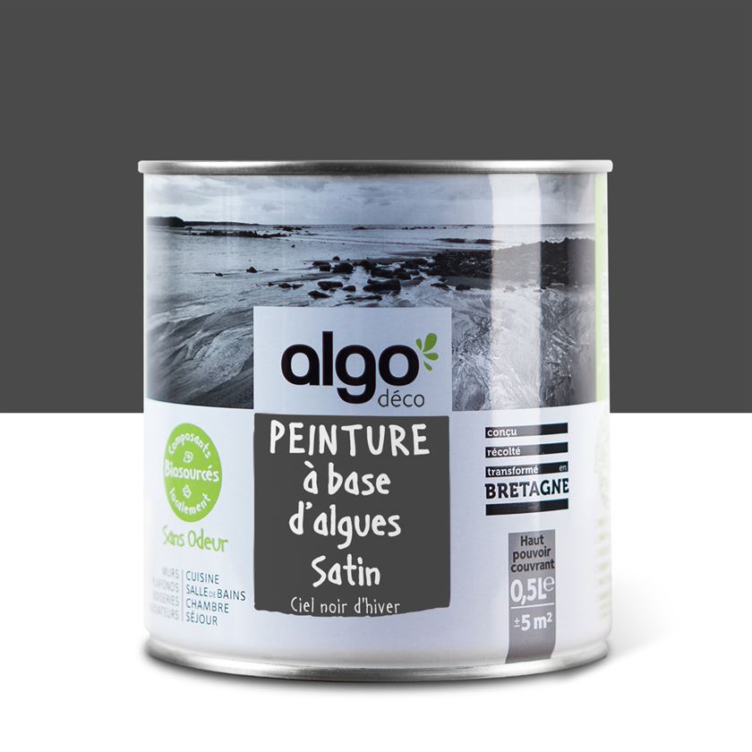 Algo Eco-Friendly Paint - Dark Winter Sky