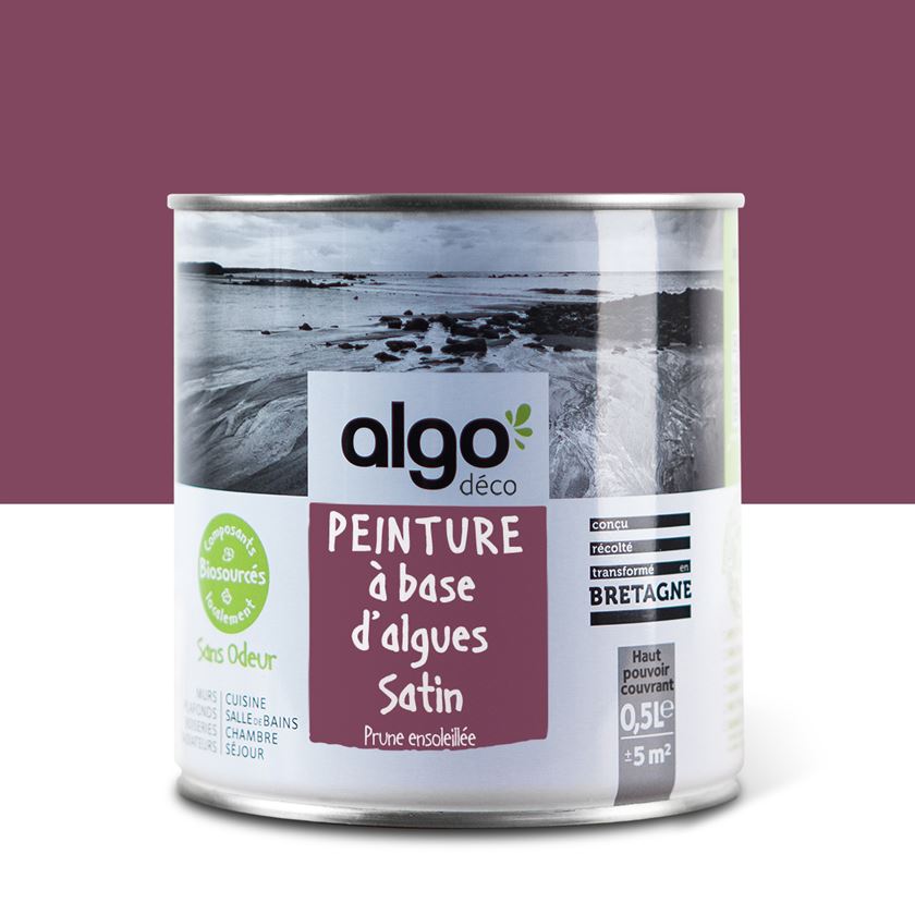 Algo Eco-Friendly Paint - Sunny Plum Mauve