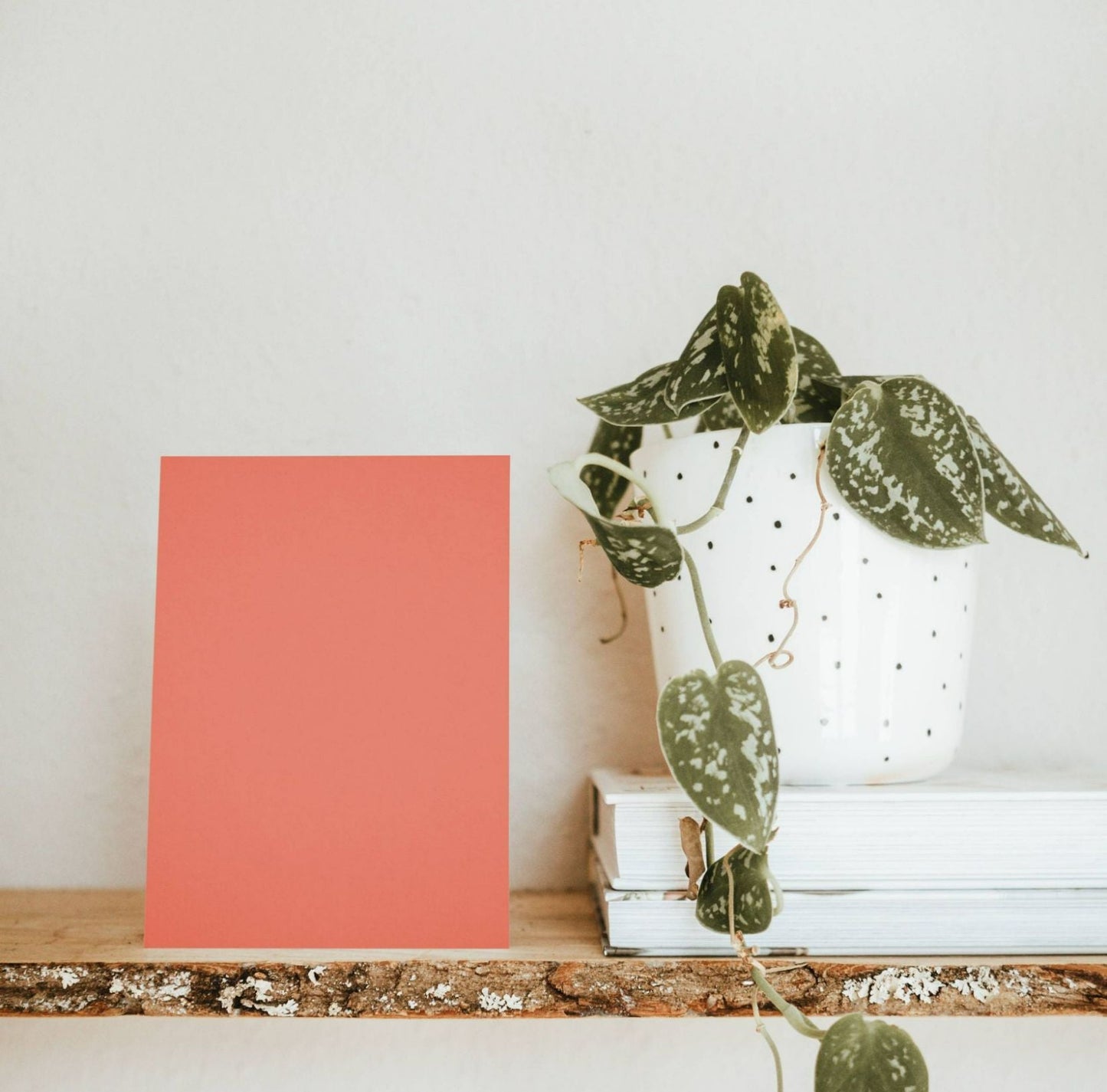 Carefree Red Swatch Chart