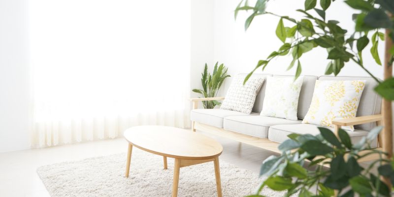 Quel blanc appliquer dans son salon ?
