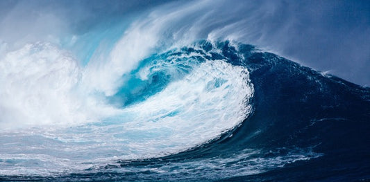 L'Histoire de la Route du Rhum