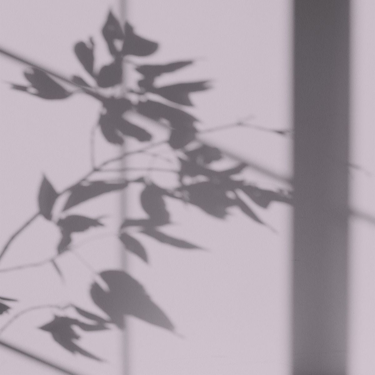 Algo Eco-Friendly Paint - Mauve Sky