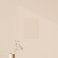 Beige Nude Color Chart Sample