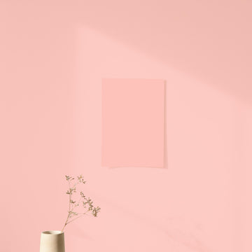 Bora Bora Pink Color Chart Sample