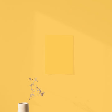 Échantillon Nuancier Jaune Magnifique