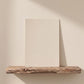Beige Cream Color Chart Sample