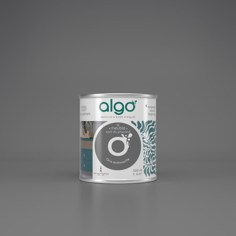 Furniture Paint - Anthracite Gray