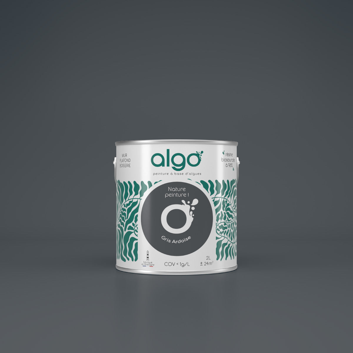 Algo Eco-Friendly Paint - Slate Grey