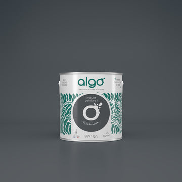 Algo Eco-Friendly Paint - Slate Grey