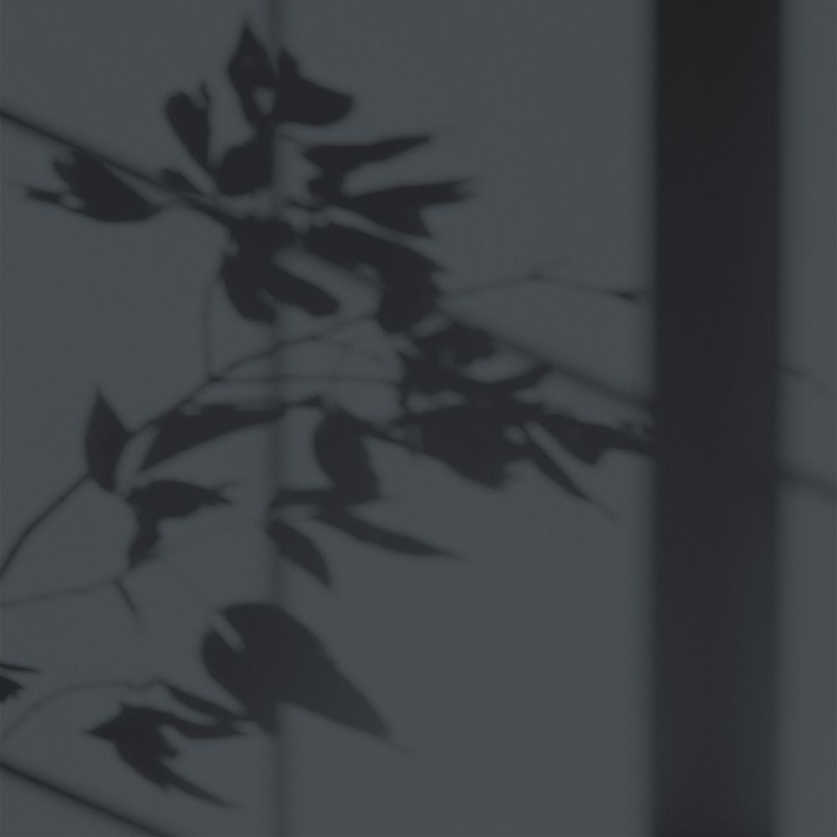 Algo Eco-Friendly Paint - Slate Grey