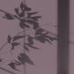 Algo ecological paint - Margaux Island