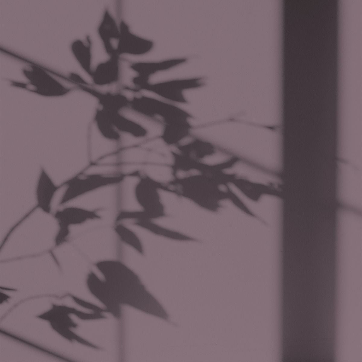 Algo ecological paint - Margaux Island