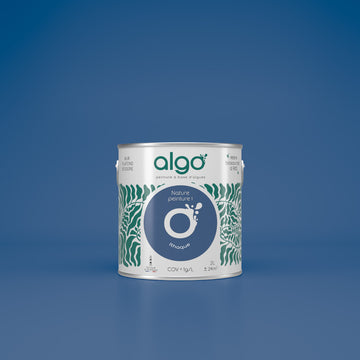Algo Eco-Friendly Paint - Ithaca