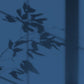 Algo Eco-Friendly Paint - Ithaca