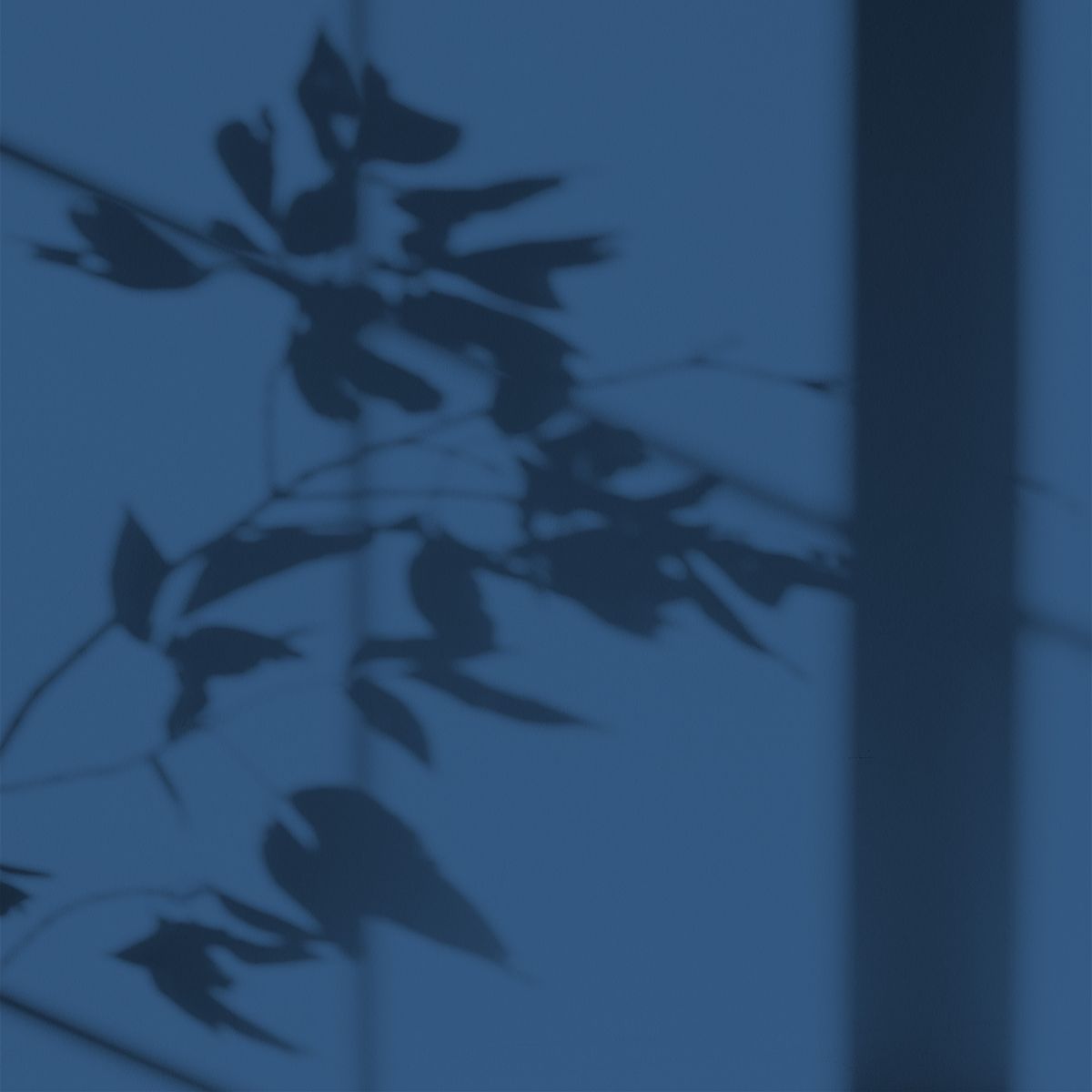 Algo Eco-Friendly Paint - Ithaca