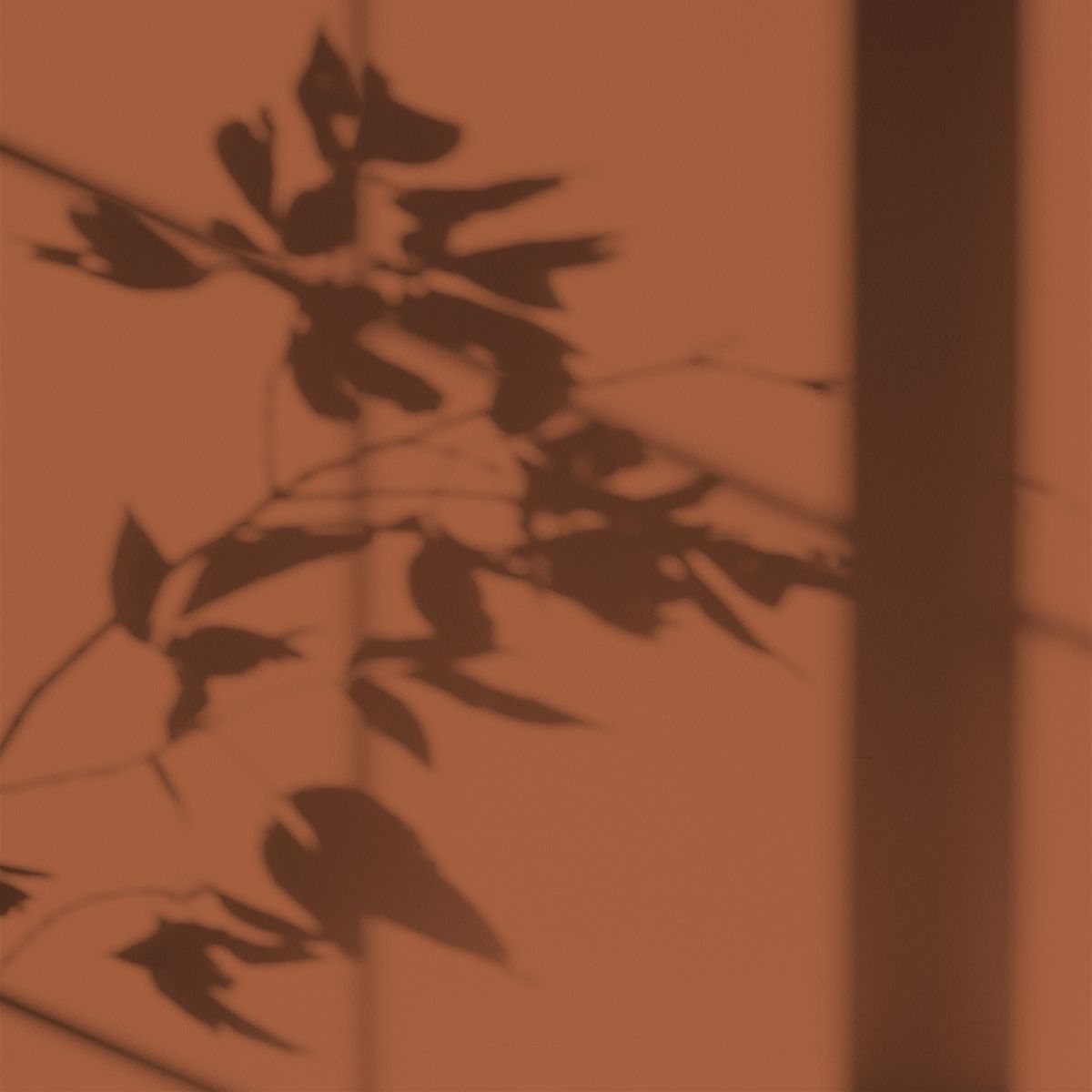 Algo Eco-Friendly Paint - Lanzarotte