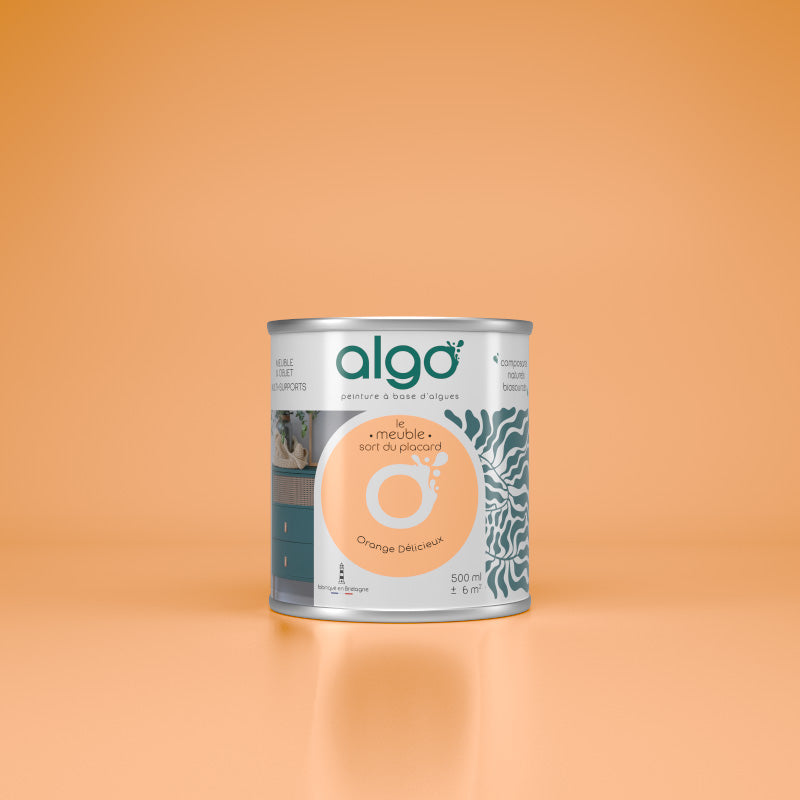 Furniture Paint - Delicious Orange