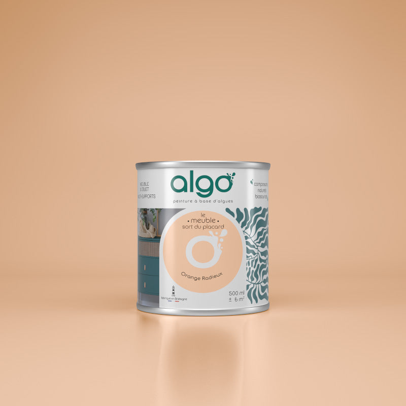 Furniture Paint - Radiant Orange