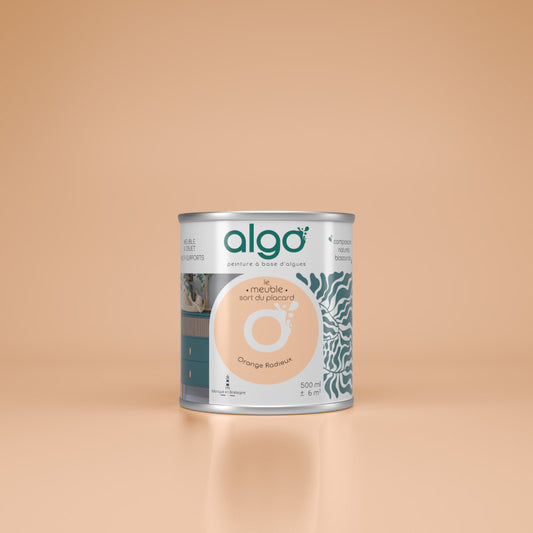 Furniture Paint - Radiant Orange