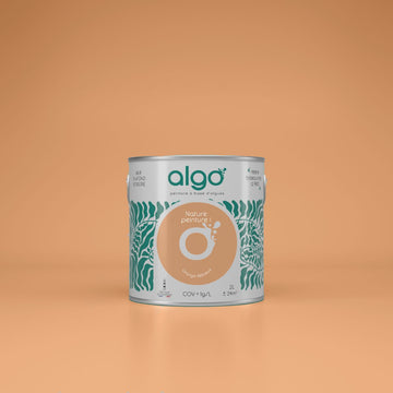 Algo Eco-Friendly Paint - Delicious Orange