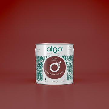 Algo ecological paint - Basque Red from Guéthary