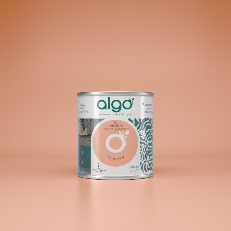 Furniture Paint - Terracotta