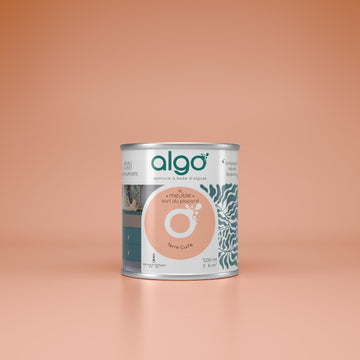Furniture Paint - Terracotta