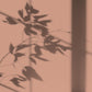 Algo Eco-Friendly Paint - Terracotta