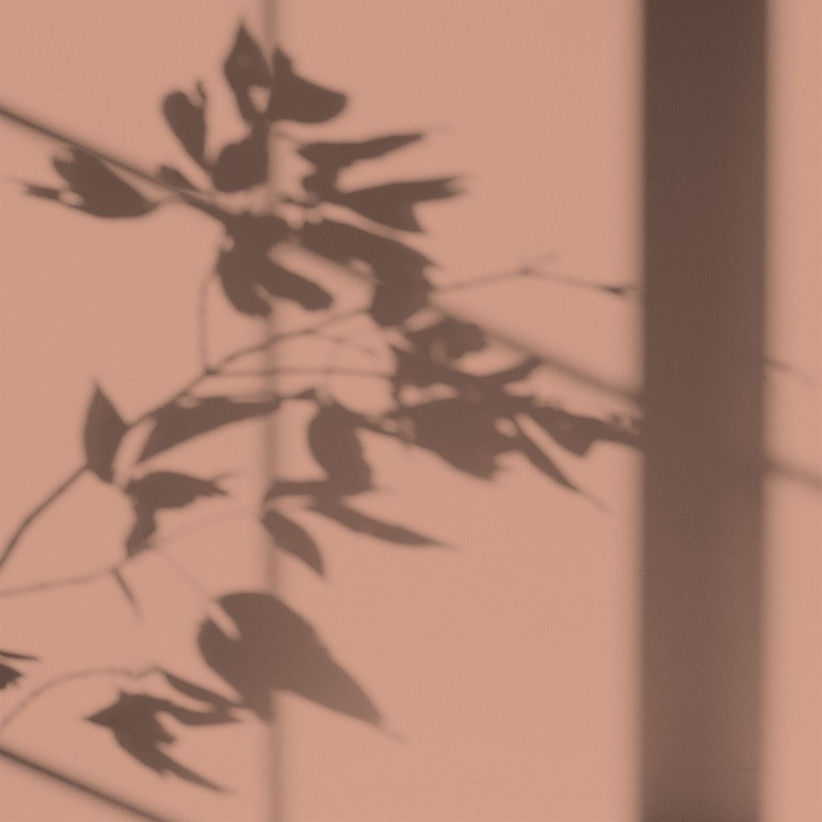 Algo Eco-Friendly Paint - Terracotta