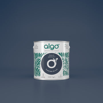 Algo Eco-Friendly Paint - Night Crossing