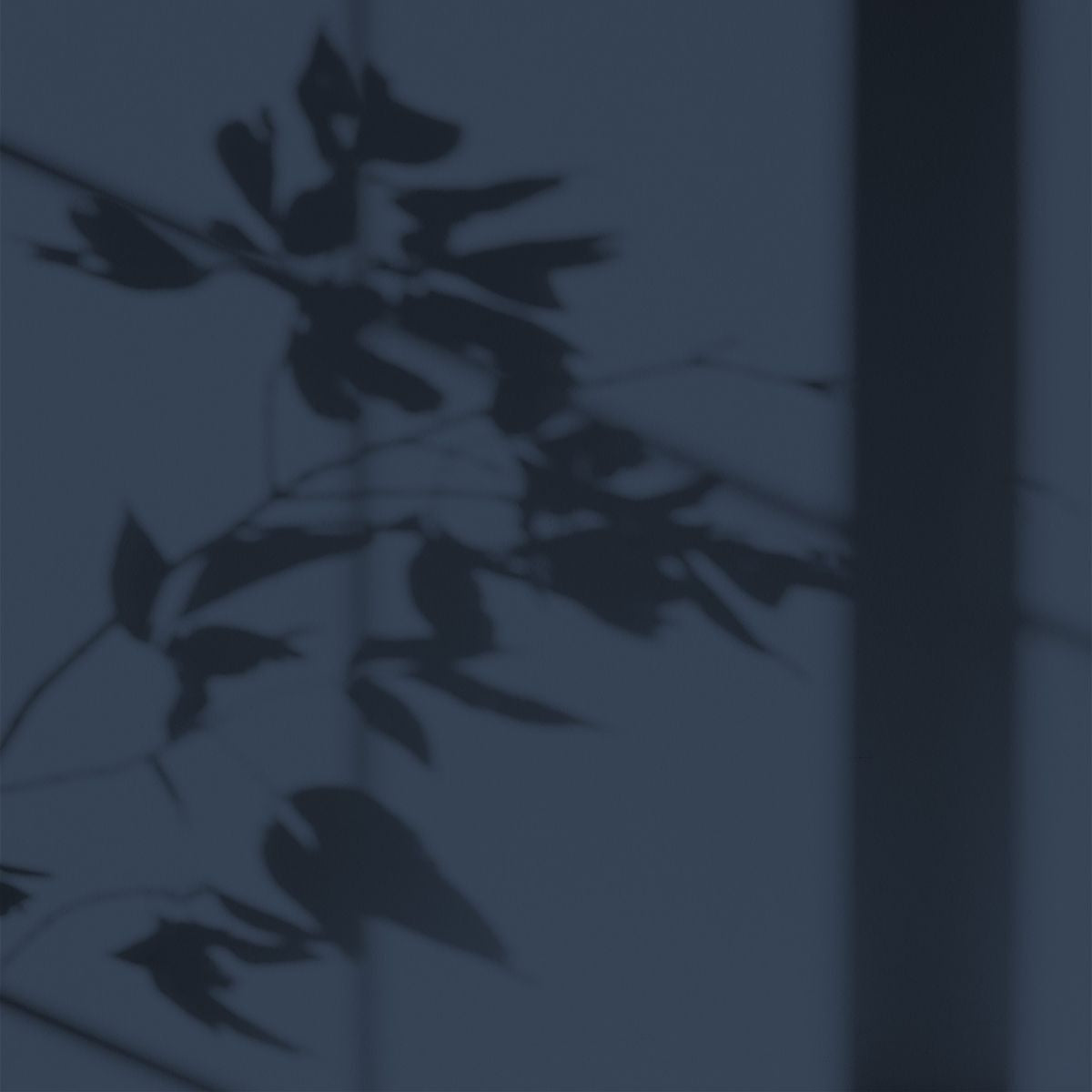 Algo Eco-Friendly Paint - Night Crossing