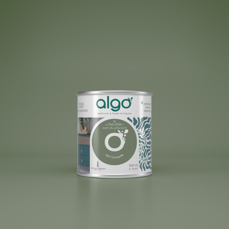 Furniture Paint - Canopy Green