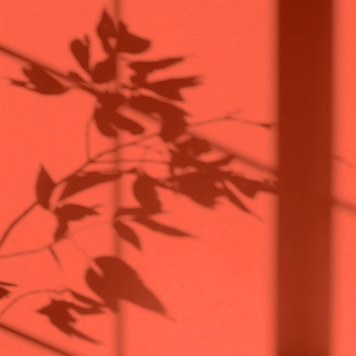 Algo Eco-Friendly Paint - Koral Orange
