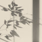 Algo Eco-Friendly Paint - Charming Almond Beige