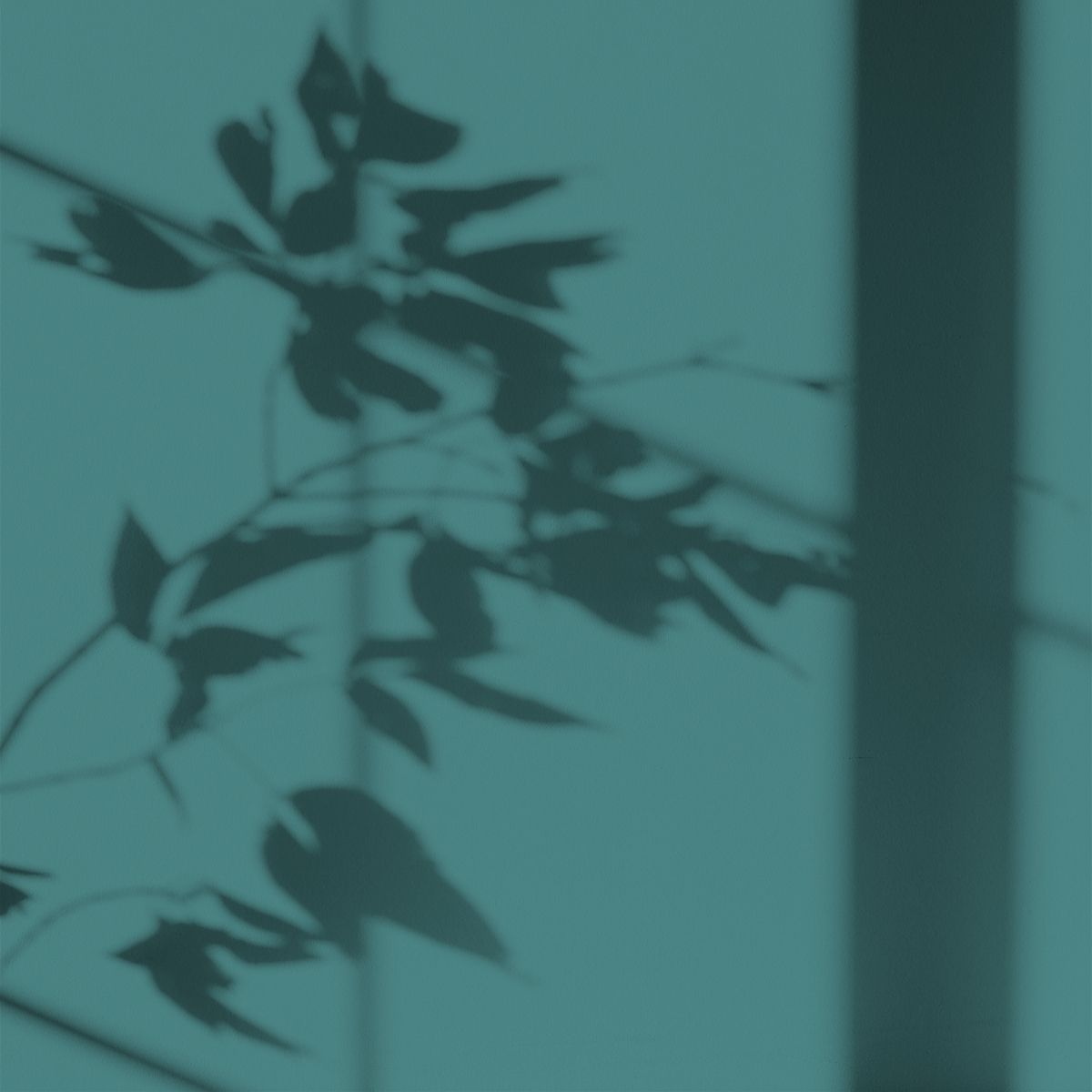 Algo Eco-Friendly Paint - Duck Blue