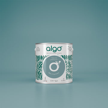 Algo Eco-Friendly Paint - Charming Blue