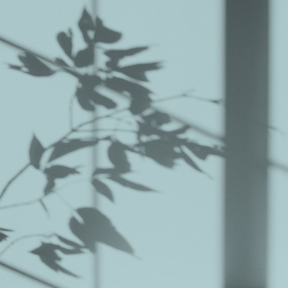 Algo Eco-Friendly Paint - Clematis Blue
