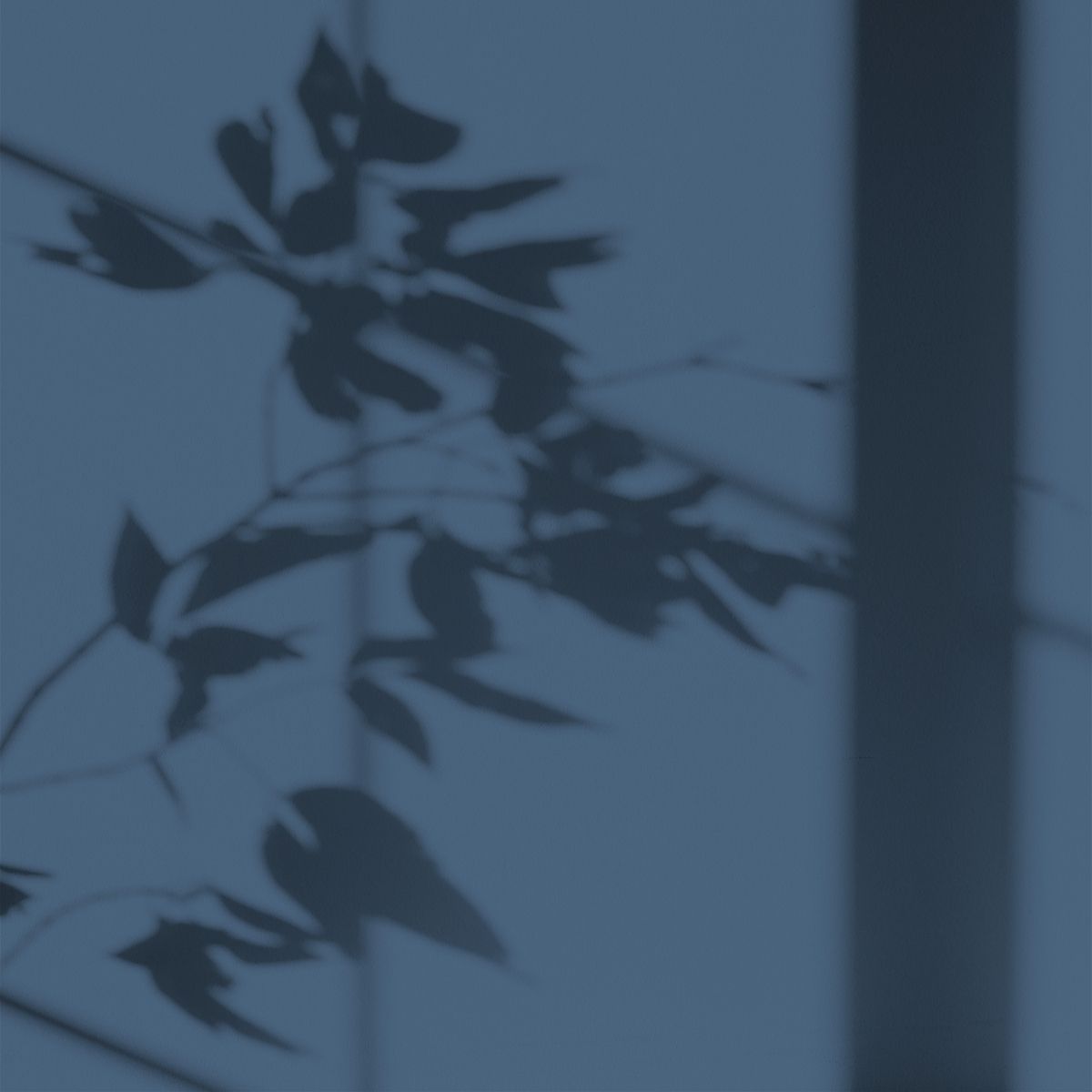 Algo Eco-Friendly Paint - Delicate Blue