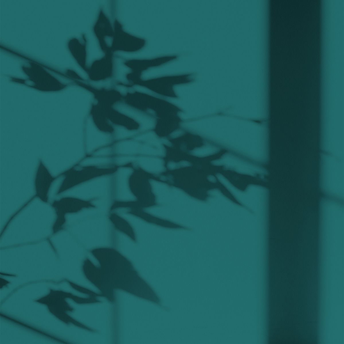 Algo Eco-Friendly Paint - Emerald