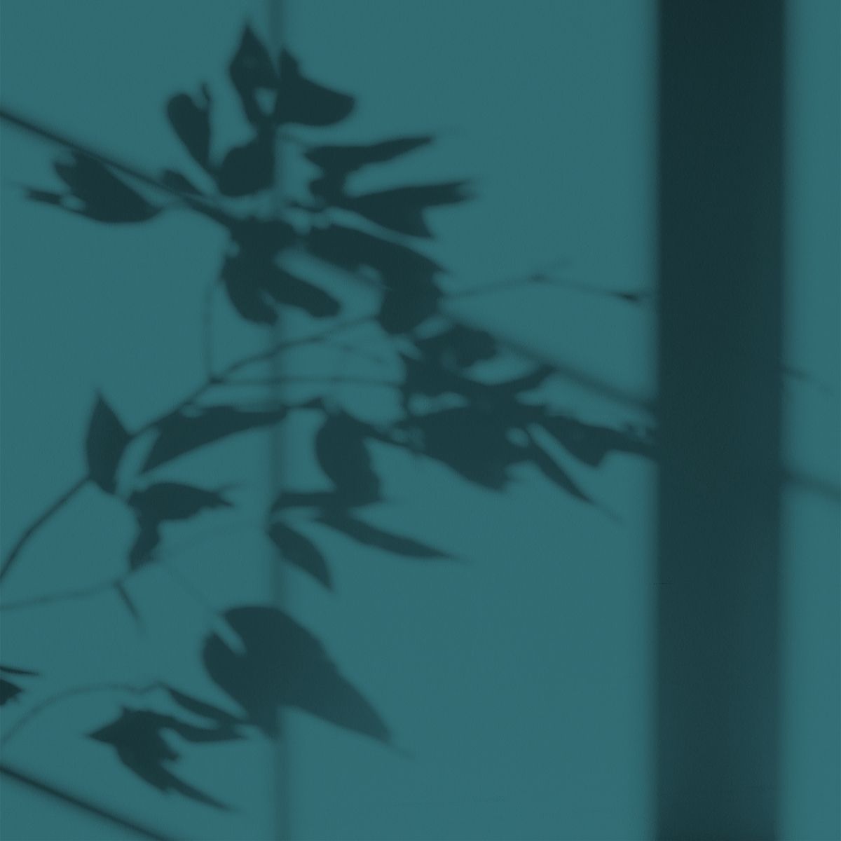Algo Eco-Friendly Paint - Iroise Blue