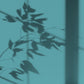 Algo Eco-Friendly Paint - Marie-Galante Blue