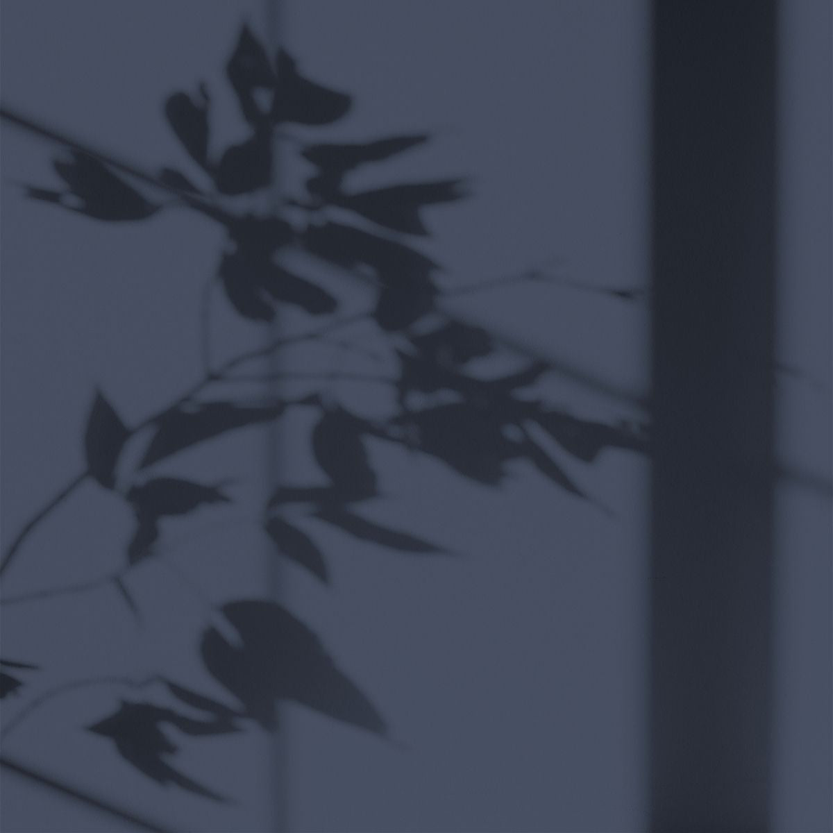 Algo Eco-Friendly Paint - Shadow Blue
