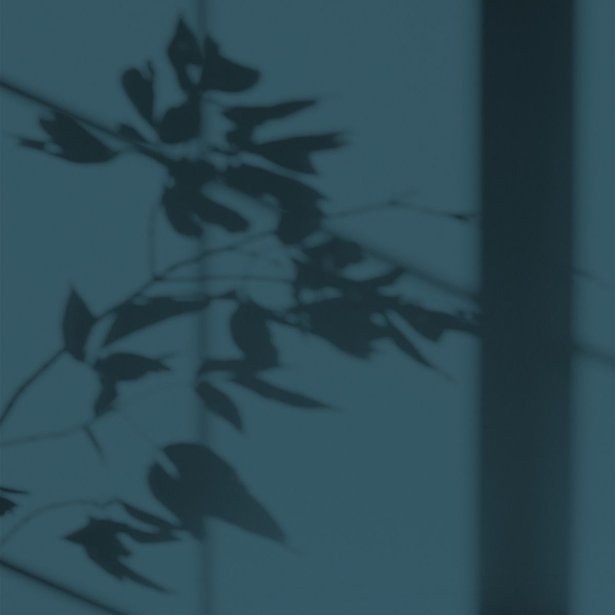 Algo Eco-Friendly Paint - Storm Blue
